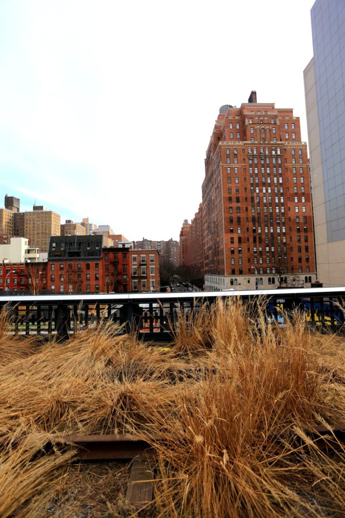 NYC Sights: The Highline & Chelsea Market